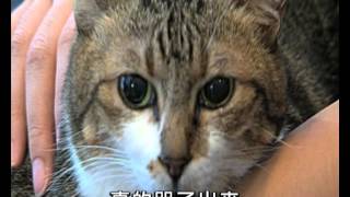 Pet Walk 日記第六集