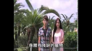 Pet Walk 日記第七集