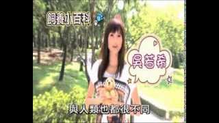 Pet Walk 日記第十集