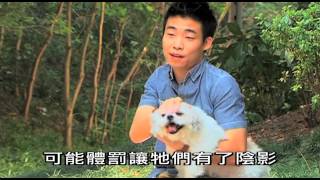 有你寵愛 第二集