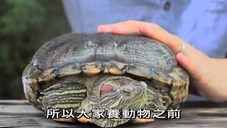 有你寵愛 第八集