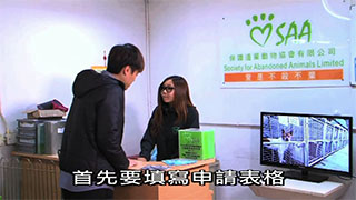 寵愛一生 第三集