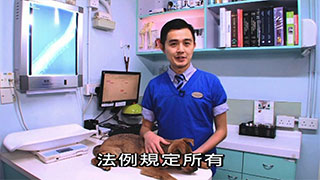 寵愛一生 第四集