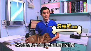 寵愛一生 第五集