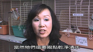 寵愛一生 第九集