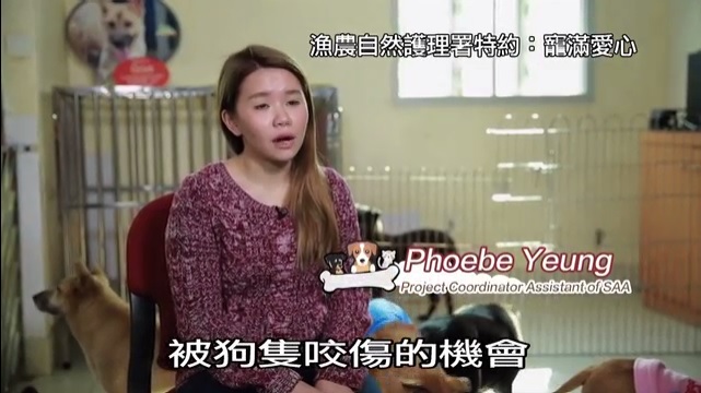 寵滿愛心 第四集